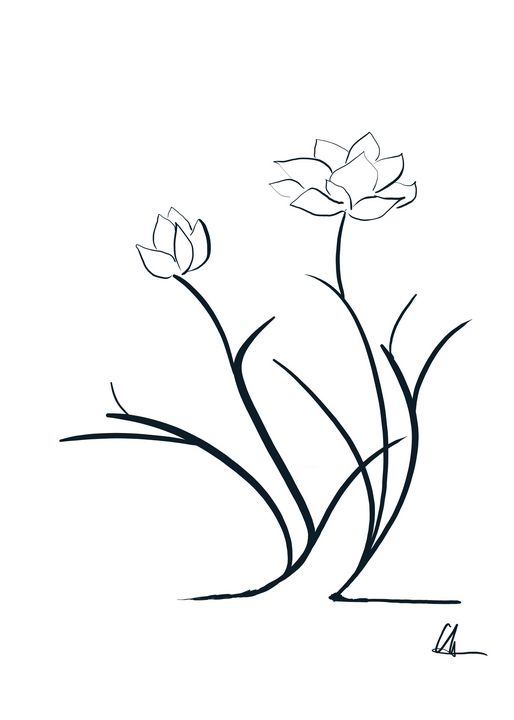 Dancing Flower Duo - Deame Hua - Digital Art & AI, Flowers, Plants, &  Trees, Flowers, Flowers I-Z, Lilies, Other Lilies - ArtPal