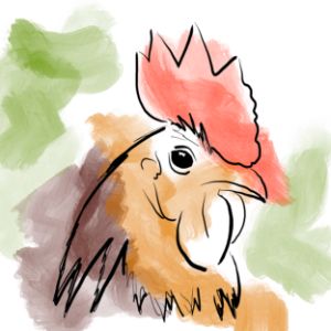 Rooster
