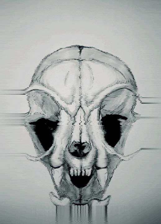 Cat skull, Art by me - 9GAG