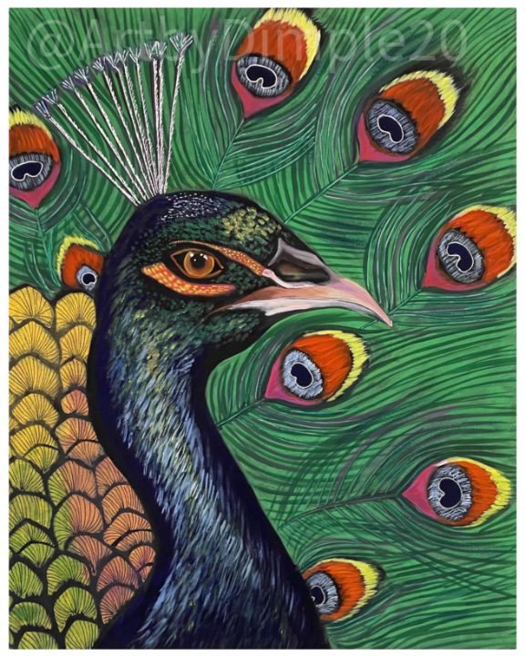 Peacock art - Artbydimple20
