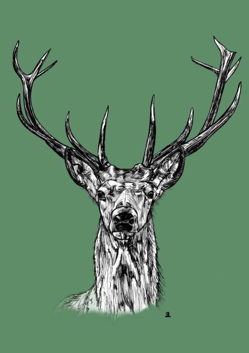Deer front - Zebrito Art