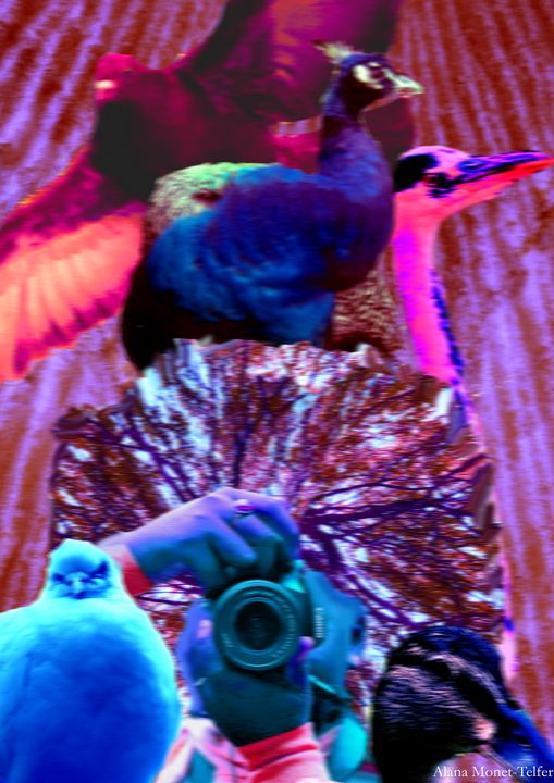 MasterPeice 4:  The Birds Dimension - Alana Monet