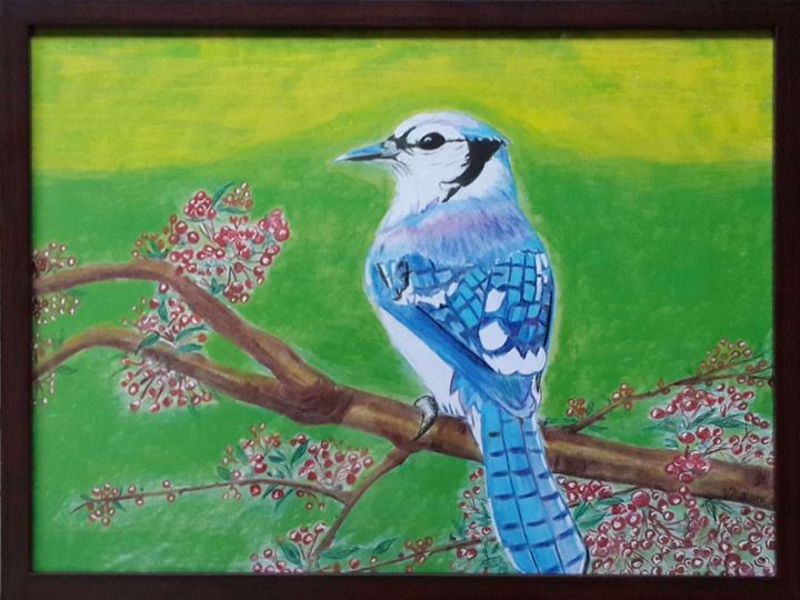 Blue Jay Bird - Vaibhav Salvi