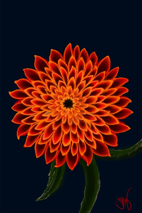 Orange Fire Dahlia - Shattered Ink WA by Paint Girl