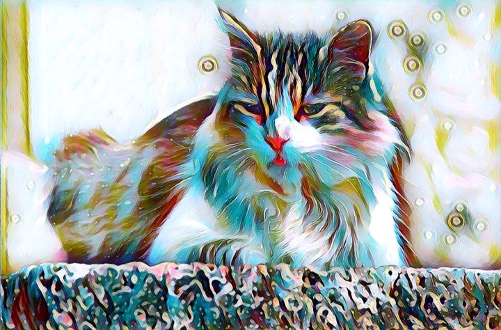 Pretty Cat Portrait - Rogue Art