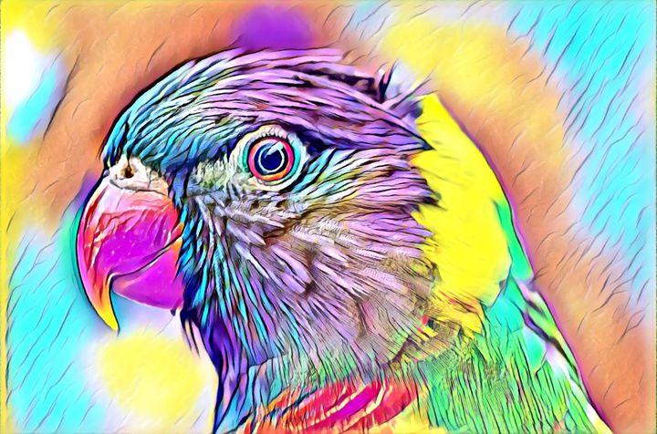 Parrot Drawing - Gallery and How to Draw Videos!