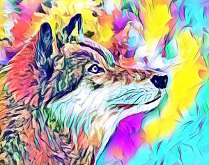 Wolf Colorful