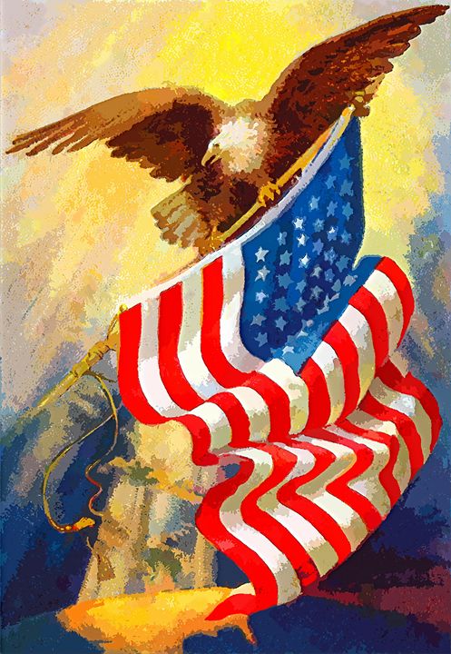 USA Flag Eagle - Rogue Art