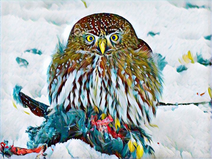 Owl Portrait - Rogue Art