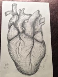 Heart Duffieldcaroline Drawings Illustration People