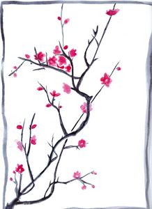 sakura watercolor