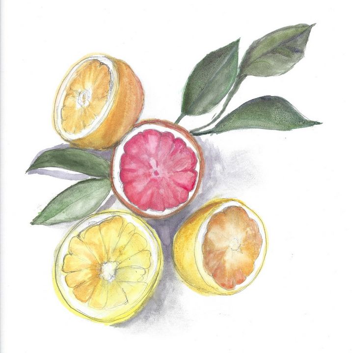 citrus watercolor 1 - Art by Leila