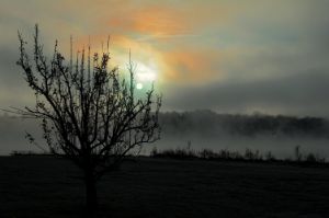Dawn On A Foggy Morning