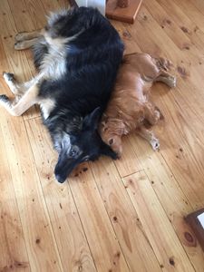 Sister Love
