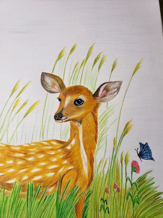 deer - nature - Drawings & Illustration, Animals, Birds, & Fish, Moose &  Elk - ArtPal