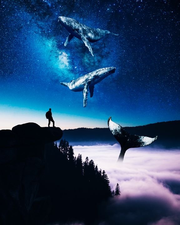 Whale Valley - Alex Bartual