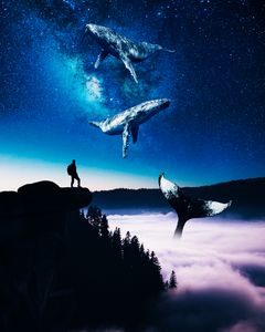 Whale Valley