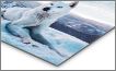 Metal Print