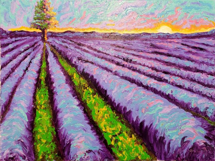 Lavender Field - SamOla Arts - Paintings & Prints, Landscapes & Nature ...