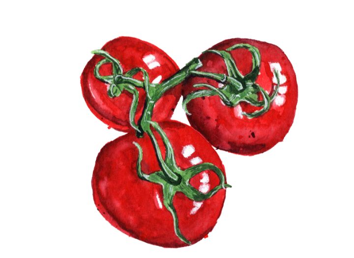 Tomatoes - ginkgojulep