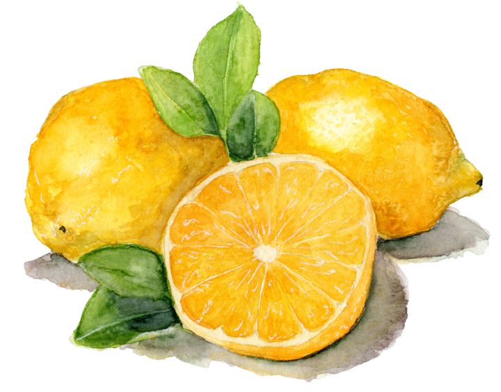 Lemons - ginkgojulep