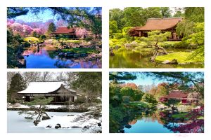 Japanese Teahouse in Four Seasons - Matt Dunn Fine Art Prints