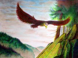 Bald Eagle (Drawing) - John-Baroque