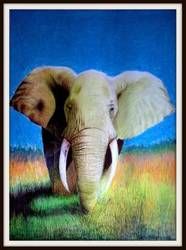 African Elephant - John-Baroque
