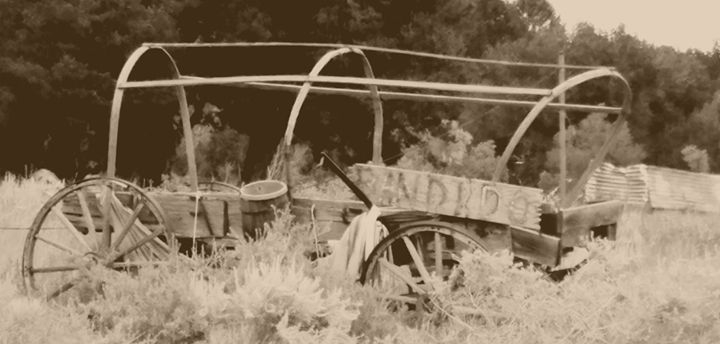 Old wagon on the old west - HUNTERPC1