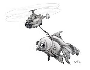 Helicopter & Goldfish