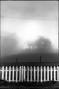 White Picket Fence Morning Fog