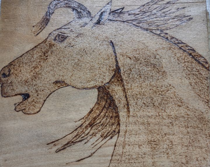 Horse - Pyrography by Naomi - Drawings & Illustration, Animals, Birds ...