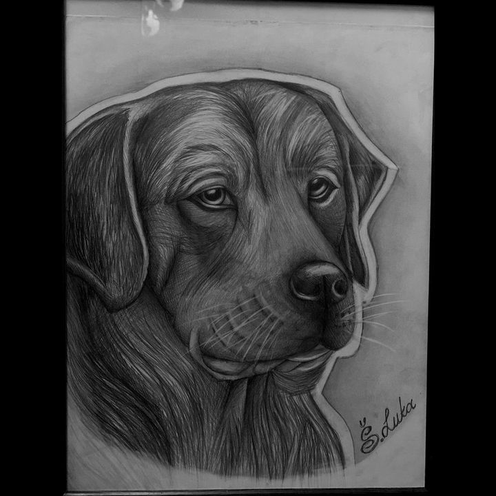 Labrakita Drawing Art by Luka - Paintings & Prints, Drawings & Illustration