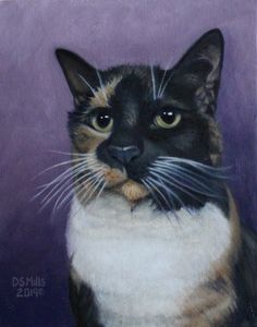 Patches