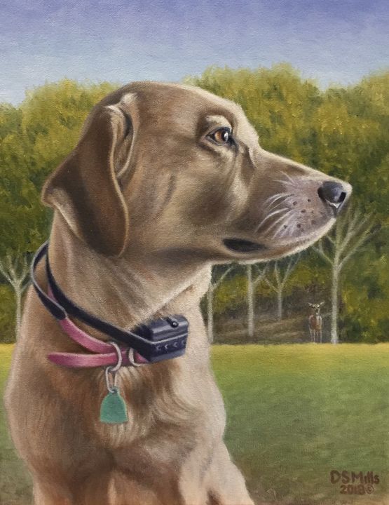 Ranger - Dan Mills Art
