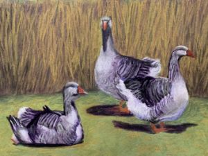 The Three Geese
