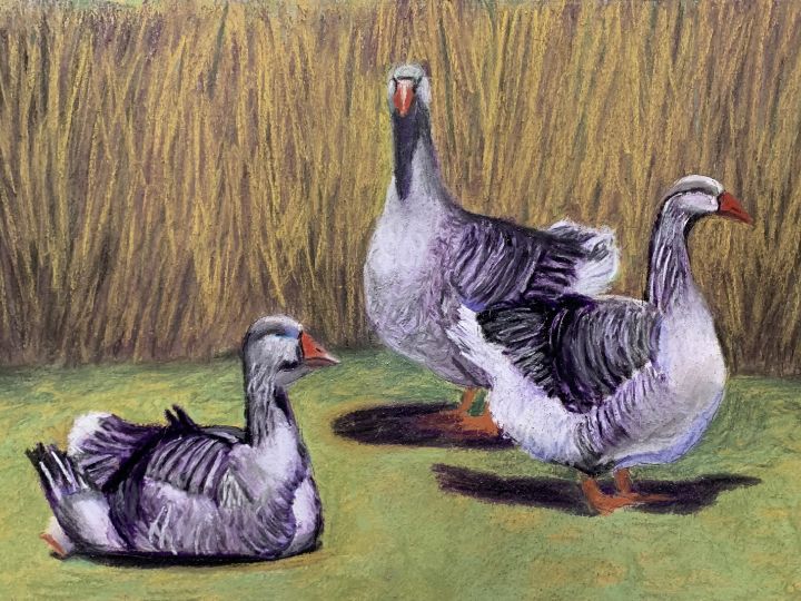 The Three Geese - Sajco Art