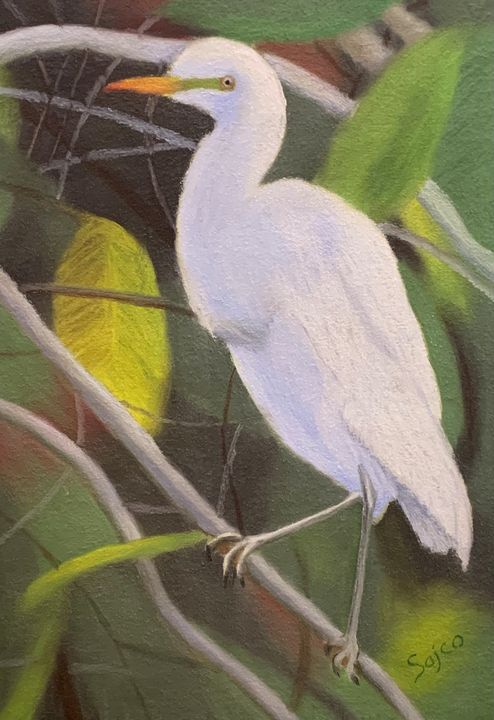 Friendly Egret - Sajco Art