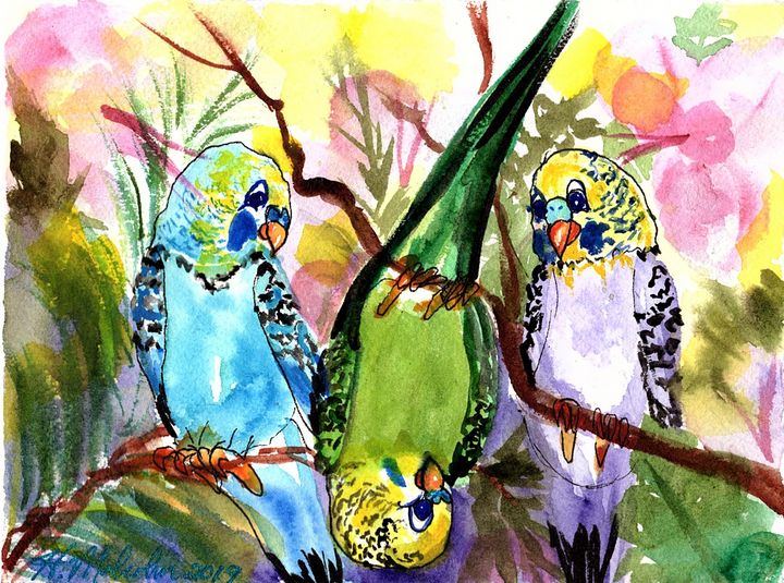 Goofy Parakeets - Hattie's Art