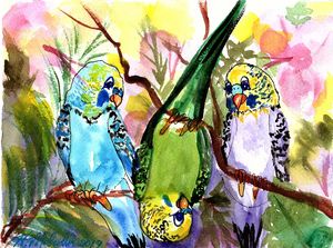 Goofy Parakeets