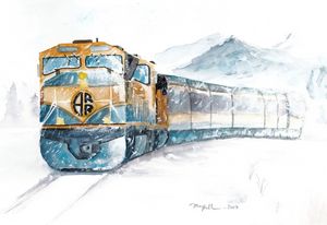 Alaskan train - on way the home