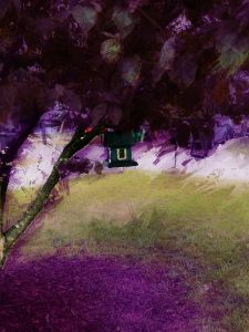 Bird house