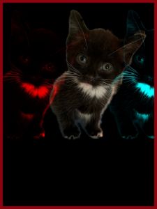 Squirrelflight (Warrior Cats) - Dandelions Art - Digital Art, Animals,  Birds, & Fish, Cats & Kittens, Non-Pedigreed Cats, Tabby & White Cat -  ArtPal