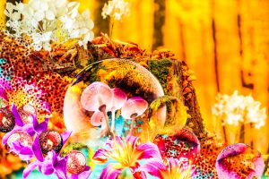 Outer World Forest Flowers - The Art Of David Loblaw - Digital Art