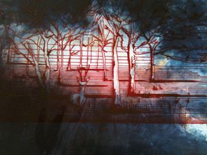 Woodland Illustration