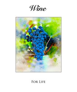 Wine Grapes on the Vine