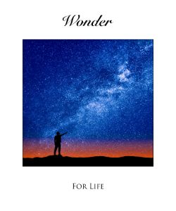 Wonder For Life - Karl Knox Images