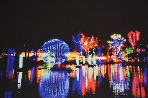 Zoo Lights