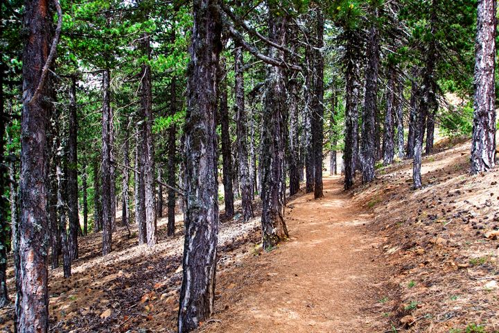 Artemis nature trail Cyprus - Evripidou M