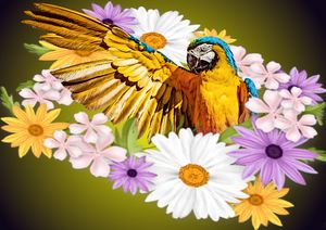 Flower bird